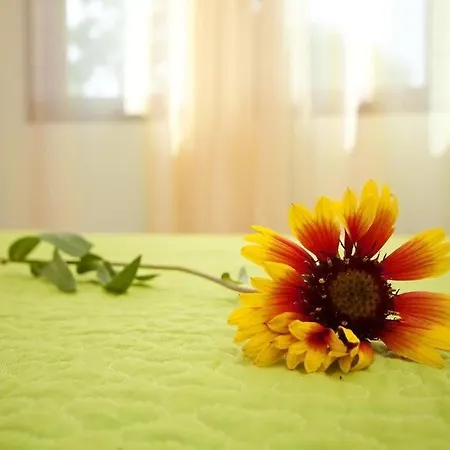In With Sea View, Terrace, Air Conditioning, Wi-fi Apartmán Nin